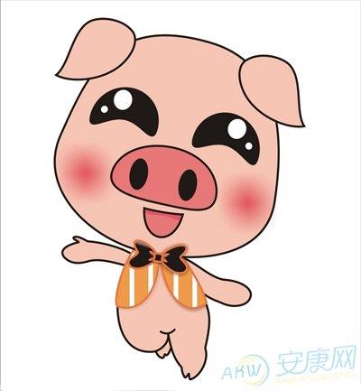 95年的猪是什么命:1995年属猪和什么属相最好