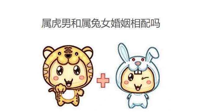 属虎男和属兔女婚姻相配吗（男虎女兔婚配合适吗）