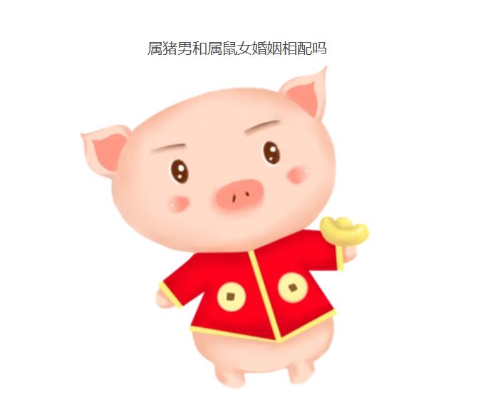 属猪男和属鼠女婚姻相配吗？鼠和猪在一起谁带财