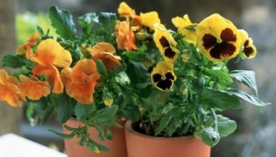 ​简历自我评价如何写？简历自我评价模板10篇