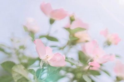 ​北京375路破案了吗？北京375路公交车真实情况