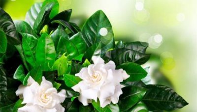 ​高情商的感谢语言有哪些情商高的人如何感谢别人