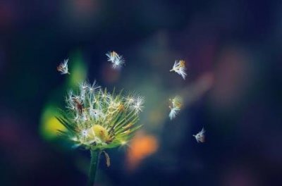 ​早上好的粤语怎么打早上用粤语怎么打