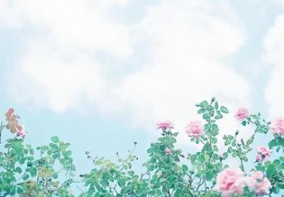 ​厕所门正对客厅窗户卫生间门对着客厅阳台有晦气吗？