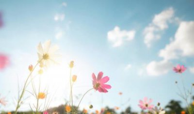 ​花西子是怎么火的花西子和李佳琦应该怎么道歉才能扭转局面