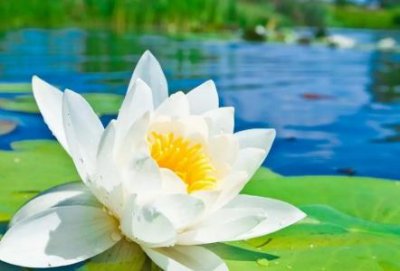 ​烘焙师身上的奶味怎么去 怎么样才能成为烘焙师