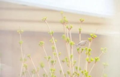 ​为什么挂号尽量别挂主任医师？主任医师为啥不？