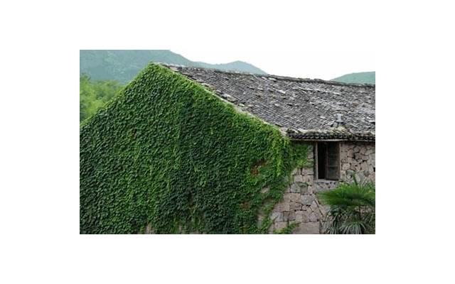 女人这样回复你微信，其实是喜欢你，别不懂