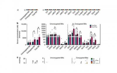 ​金牛座ab型血男人 不同血型的金牛座的性格特征你了解吗