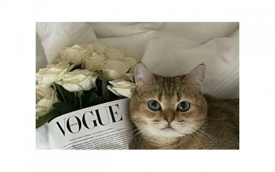 ​被T做到哭是种怎样的体验知乎 被T做到哭是为什么