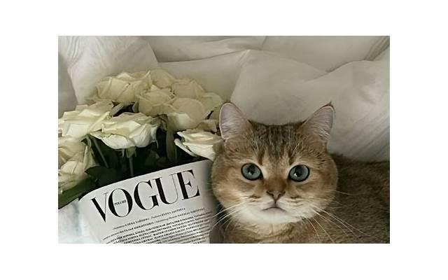 被T做到哭是种怎样的体验知乎 被T做到哭是为什么