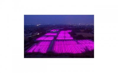 ​老公出轨妻子正确做法是什么，老公出轨妻子的心理阶段是什么样的