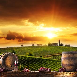 贵州省的黔水坊的价格