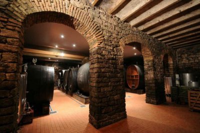 ​葡萄酒庄园酒窑