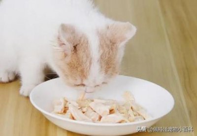 ​两个月德牧幼犬怕冷吗？两个月德牧幼犬怕冷吗？为什么