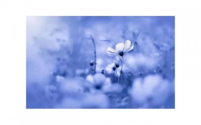 ​为什么越干净的女生越撩不动 撩女人的最好办法是什么