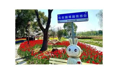 ​为什么男人出轨后才会后悔？