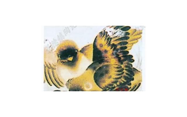 双鱼男喜欢的四种女人（双鱼男最准分析之如何搞定双鱼男）