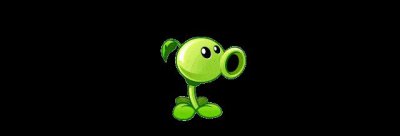 ​一口爆汁的无核荔枝为什么这么好吃是如何培育的