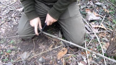 ​超简单荒野捕鸟陷阱，绝对能中猎物！