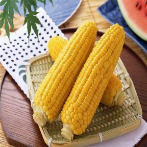 ​你知道天农九是什么吗，进来了解一下它吧