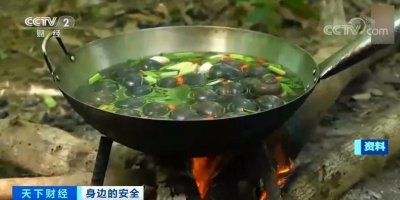 ​入侵物种福寿螺，体内可含6000多条寄生虫，堪称寄生虫的“天堂”