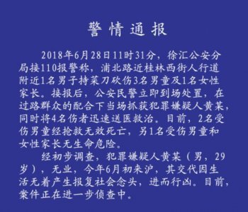 ​上海小学生学校2校门被砍死2人受伤杀人嫌疑人报复社会