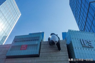 ​看见建筑之美，成都IFS国际金融中心