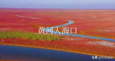 ​东营市除了石油，还有三种有名的特产