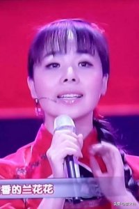 ​精选王二妮17首陕北民歌，她的音乐风格独特，带有浓厚的陕北风情