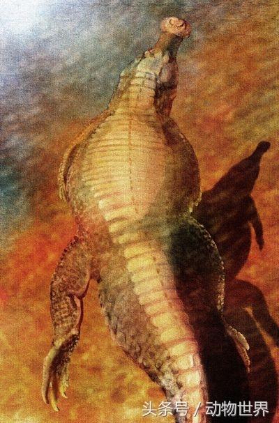 最大型鳄类动物之一帝鳄