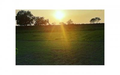 ​出轨后怎么挽回老婆，出轨后怎么挽回老婆？