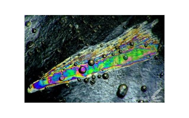 出轨了怎么想挽回老婆,原谅是唯一的出路吗? 出轨了怎么想挽回老婆,原谅是唯一的出路吗?