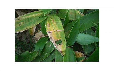 ​老婆离婚怎么挽回，如何挽回妻子的心？