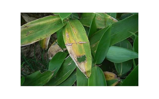 老婆离婚怎么挽回,如何挽回妻子的心? 老婆离婚怎么挽回,如何挽回妻子的心?