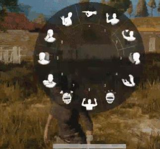 ​绝地求生表情动作怎么用 表情系统快捷键介绍