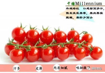 ​千禧果是什么东西？