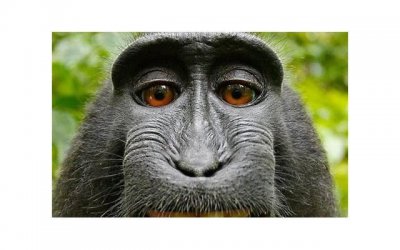 ​出轨挽回老婆婚姻的方法，如何挽回老婆婚姻？