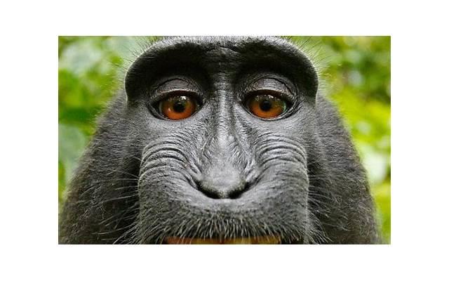 出轨挽回老婆婚姻的方法,如何挽回老婆婚姻? 出轨挽回老婆婚姻的方法,如何挽回老婆婚姻?