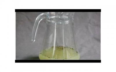 ​刘德华的老婆叫什么