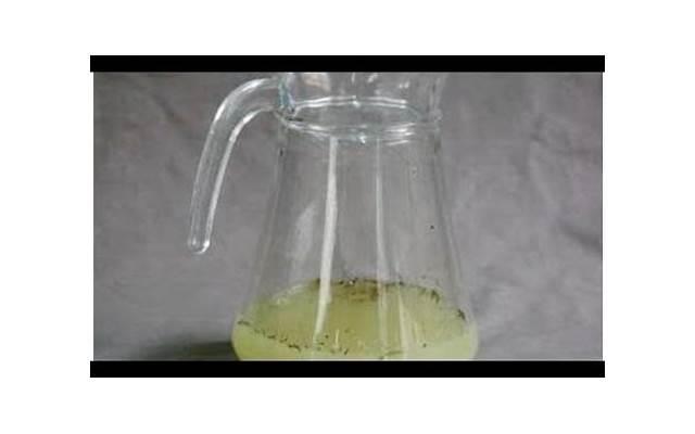 刘德华的老婆叫什么 刘德华的老婆叫什么