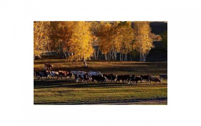 ​夫妻走向离婚的，从来都不是因为一件小事，而是无数失望的积累