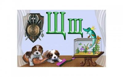 ​双子男把你当老婆的表现有哪些？