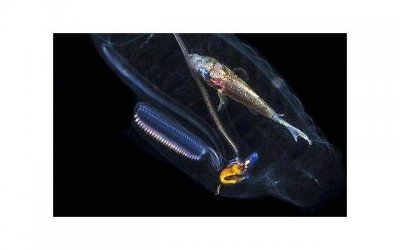 ​冷静过后想想，打败我俩婚姻的真是弟毛蒜皮的事