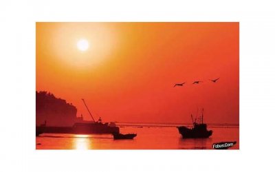 ​陈若仪微博，林志颖老婆陈若仪开微博分享爱子日常