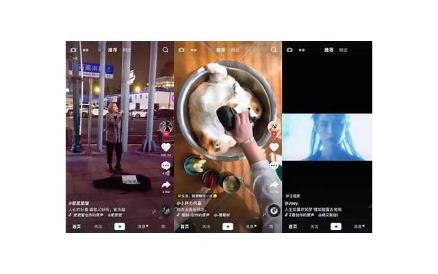 为什么射手座是皇帝命 射手座可以有多宠爱弟弟