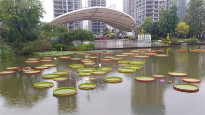 ​西安植物园，值得一游的植物王国