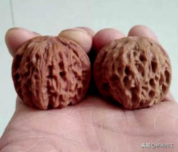 ​100种文玩核桃品种分享之45：平谷闷尖狮子头（刘老四）