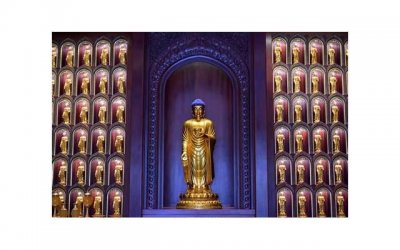 ​为什么精子过多会导致男性不育 精液检查的注意事项有哪些