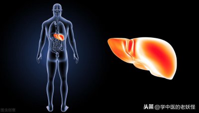 ​十二正经 之 足厥阴肝经